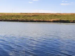 Balta Mare Lupsanu 1