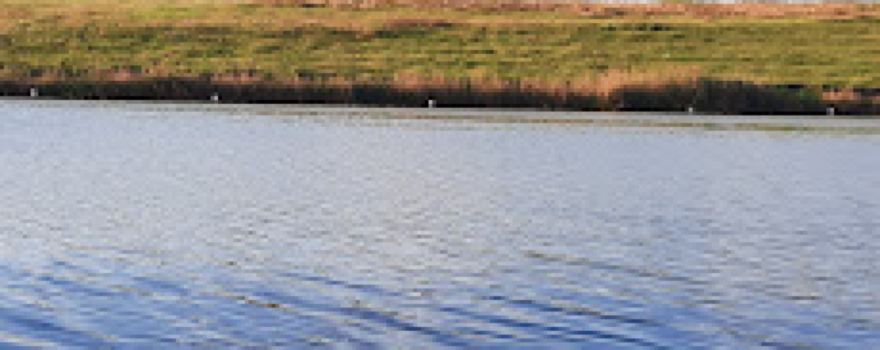 Balta Mare Lupsanu 1