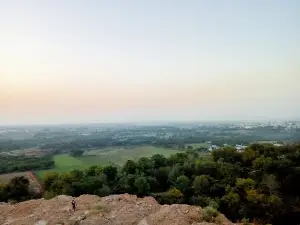 Sironcha Park Vanvibhagh