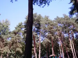 Solovychivsʹkyy Zakaznyk