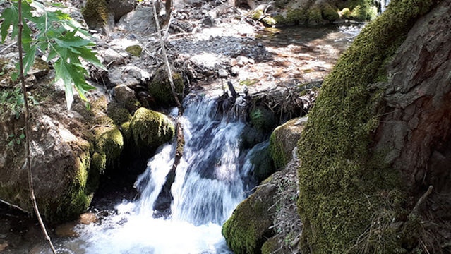Çınaraltı Meydanı