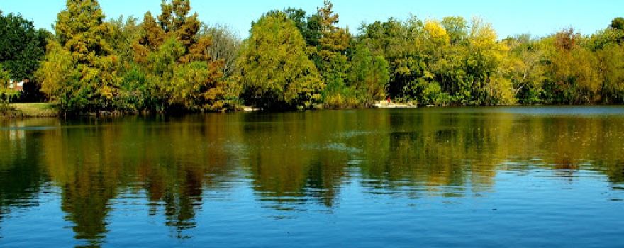Mills Pond Recreation Area