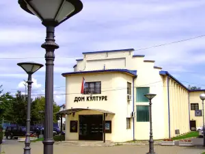 Dom kulture