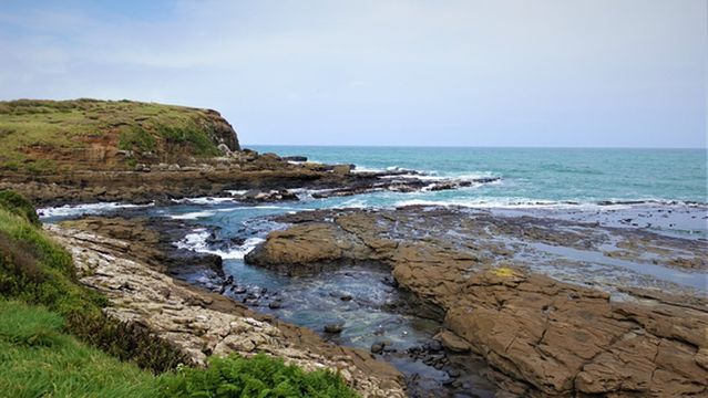 Curio Bay Cliffs
