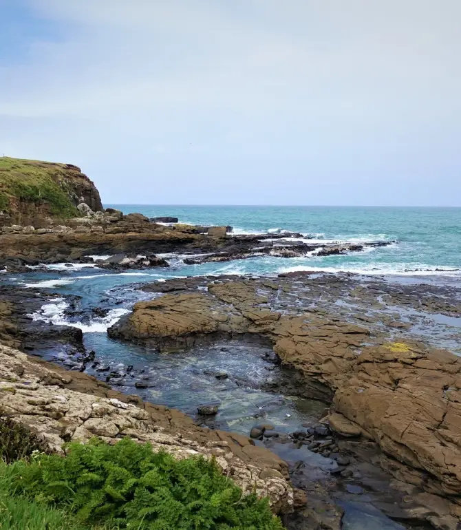 Curio Bay