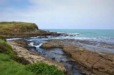 Curio Bay