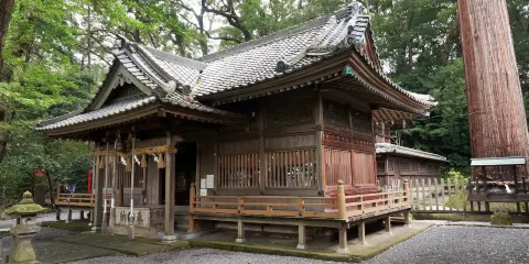 Kotonomama Hachimangu