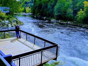 Ohiopyle State Park