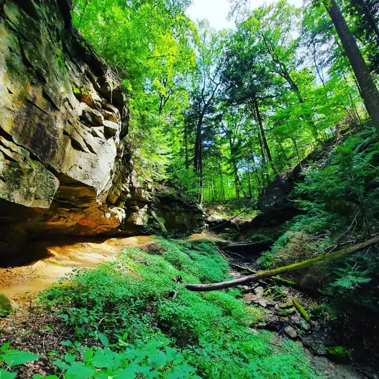 Montgomery County