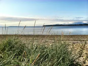 Birch Bay State Park