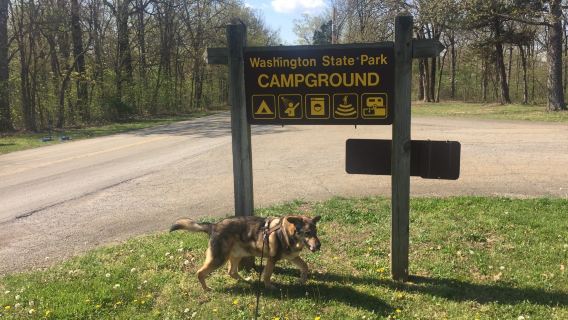 Washington State Park