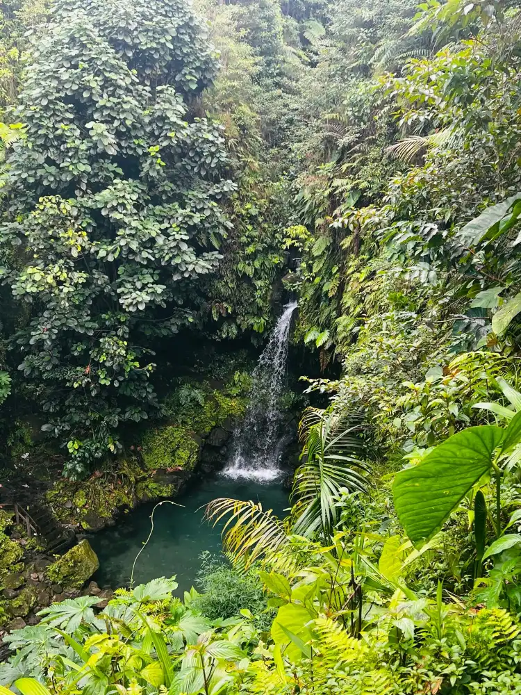 Hoteles cerca de Emerald Pool Nature Trail