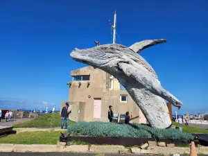 Fort Scratchley