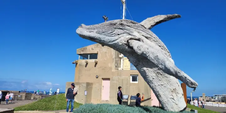 ニューキャッスル・イースト観光ガイド2026年：人気スポット、グルメ