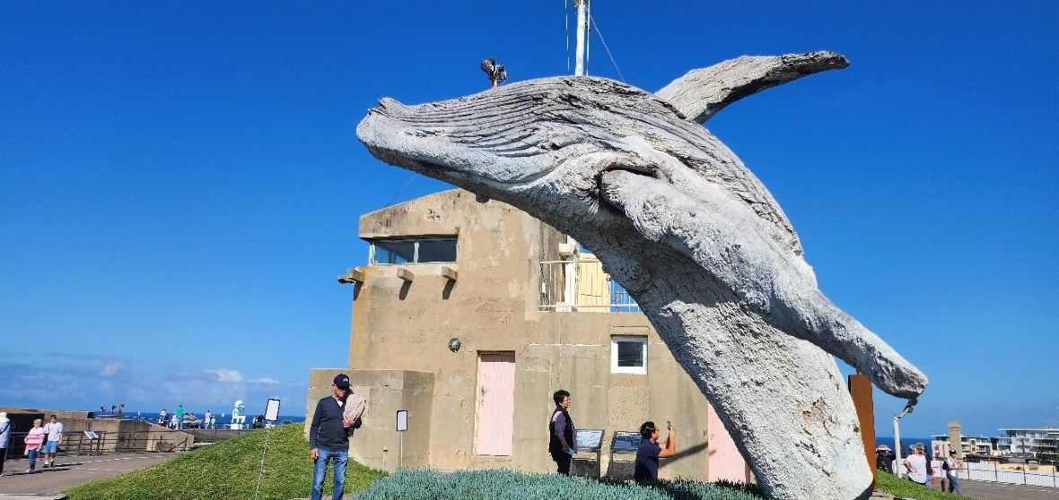 0HJ2612000h0cg0zzF967_D_1180_5