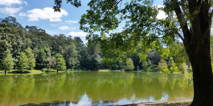 Lake Ella Park