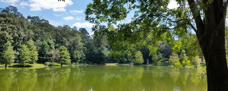 Lake Ella Park