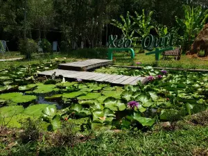 Khu Di Tích Xẻo Quýt