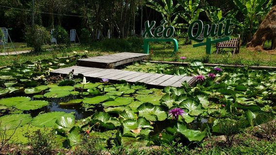 Khu Di Tích Xẻo Quýt