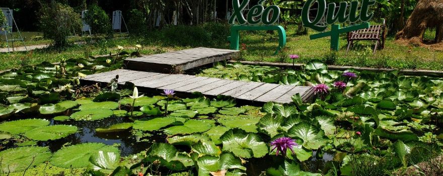 Khu Di Tích Xẻo Quýt