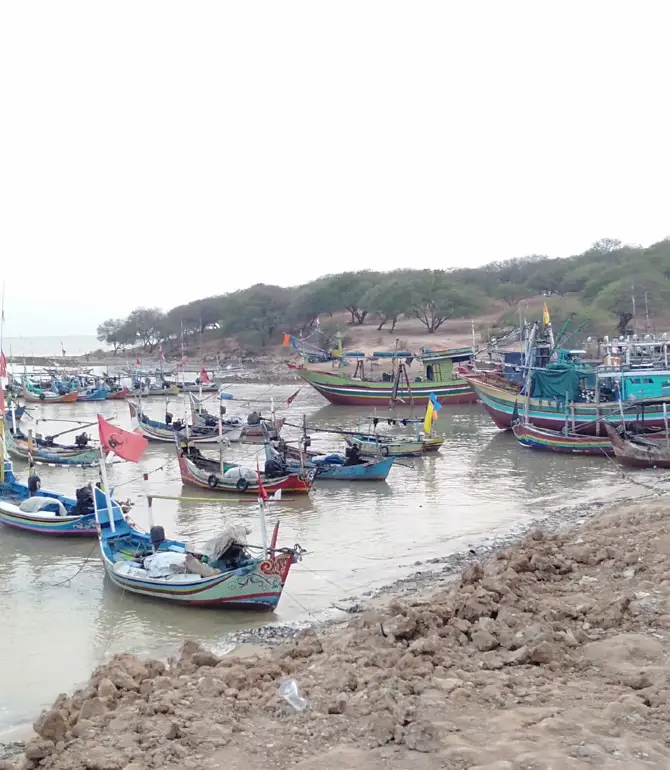 Merakurak