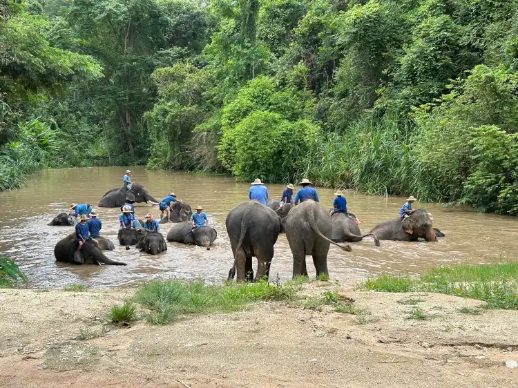 Hotels near Thai Elephant Conservation Center