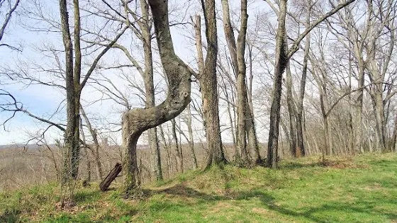 Fort Granger Park
