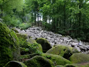 Felsenmeer