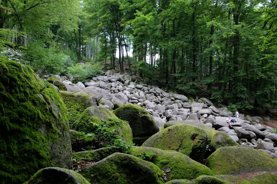 Felsenmeer附近的飯店