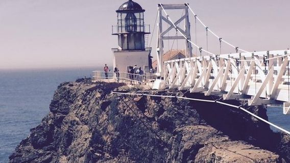 The Marine Mammal Center