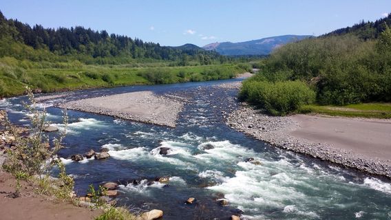 Pierce County