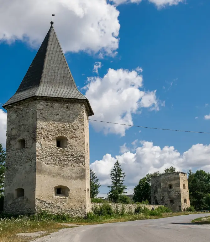 Borshchivs'kyi district