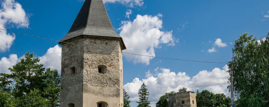 Kryvche Castle