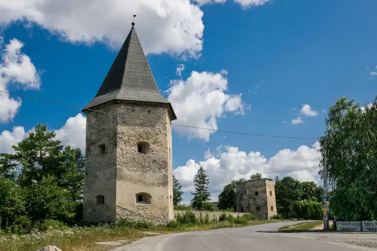 Hotels in Kryvche