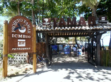 Tamar Project • Praia do Forte