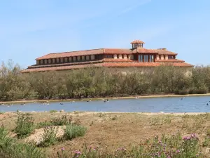 Lagunas de Villafáfila