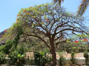 Nossa Senhora do Rosário church