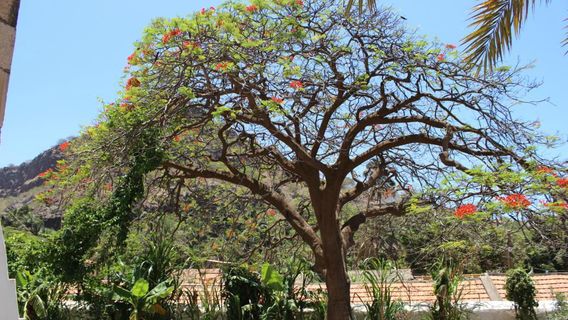 Nossa Senhora do Rosário church