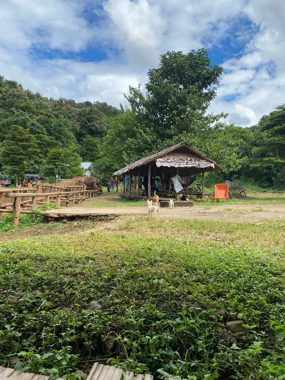 Hotels near Mae Wang Elephant Camp