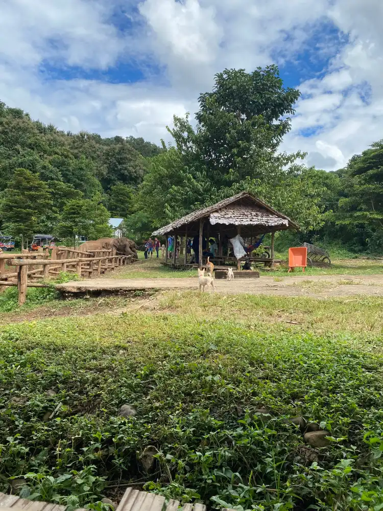 Hotels near Mae Wang Elephant Camp