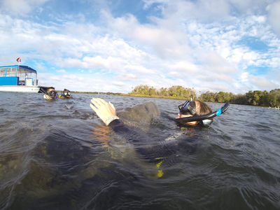 Crystal River Watersports