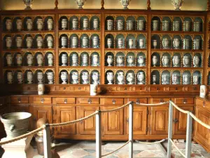 Hotel Dieu - Museum Greuze