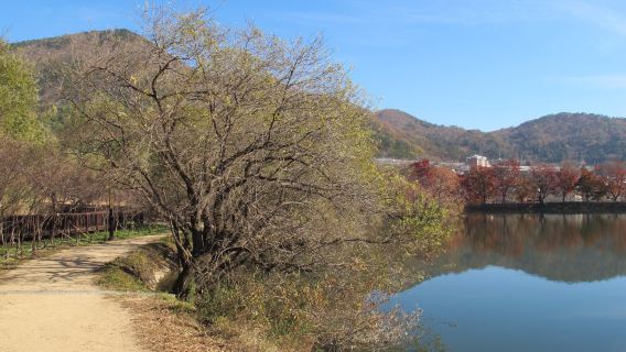 Jinhae NFRDI Environment Eco-Park