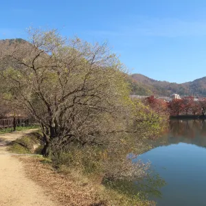 진해내수면 환경생태공원