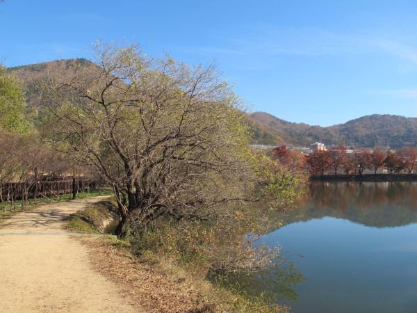 鎮海內水面環境生態公園