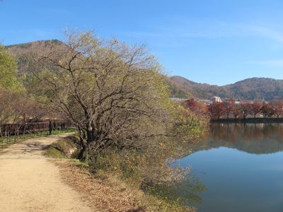 Jinhae NFRDI Environment Eco-Park