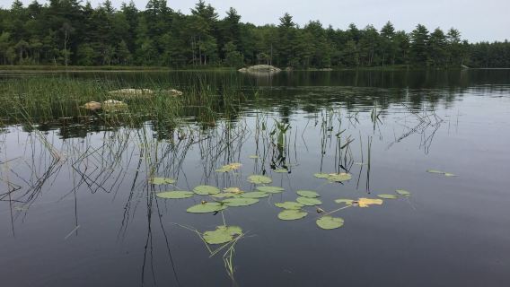 Hidden Valley Nature Center