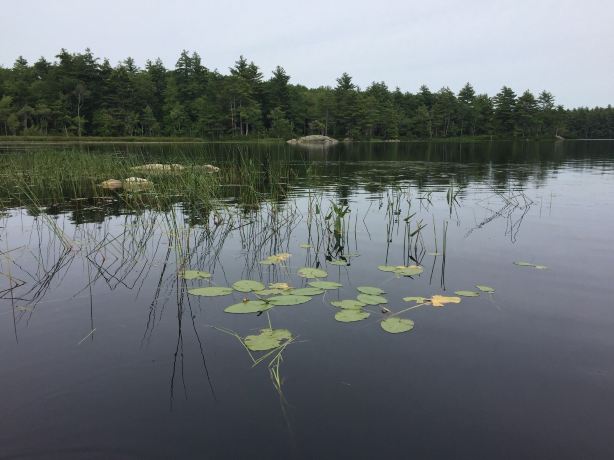 Hidden Valley Nature Center