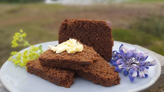 The Geothermal Park Hveragerði / Hveragarðurinn