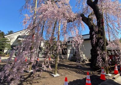 Myōkanji Temple